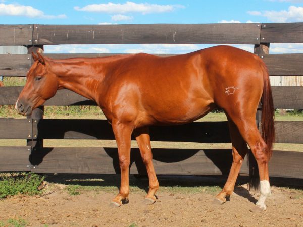 LOTE 35 - MT WIMPY PLACER